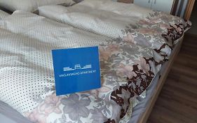 Vaclavskeho Apartment Medzilaborce