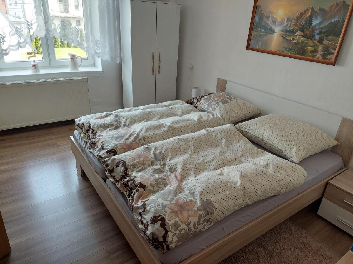 Vaclavskeho Apartment Medzilaborce Zewnętrze zdjęcie