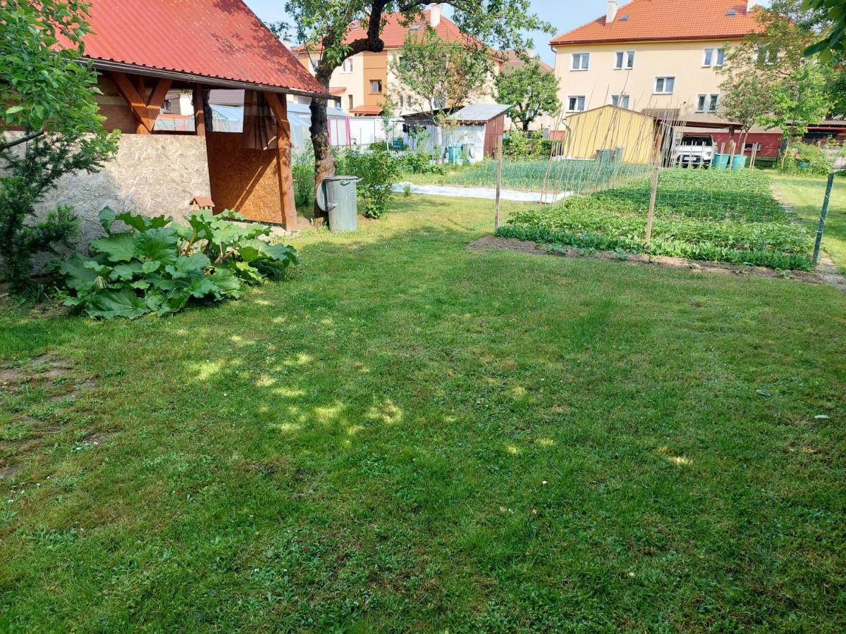 Vaclavskeho Apartment Medzilaborce Zewnętrze zdjęcie